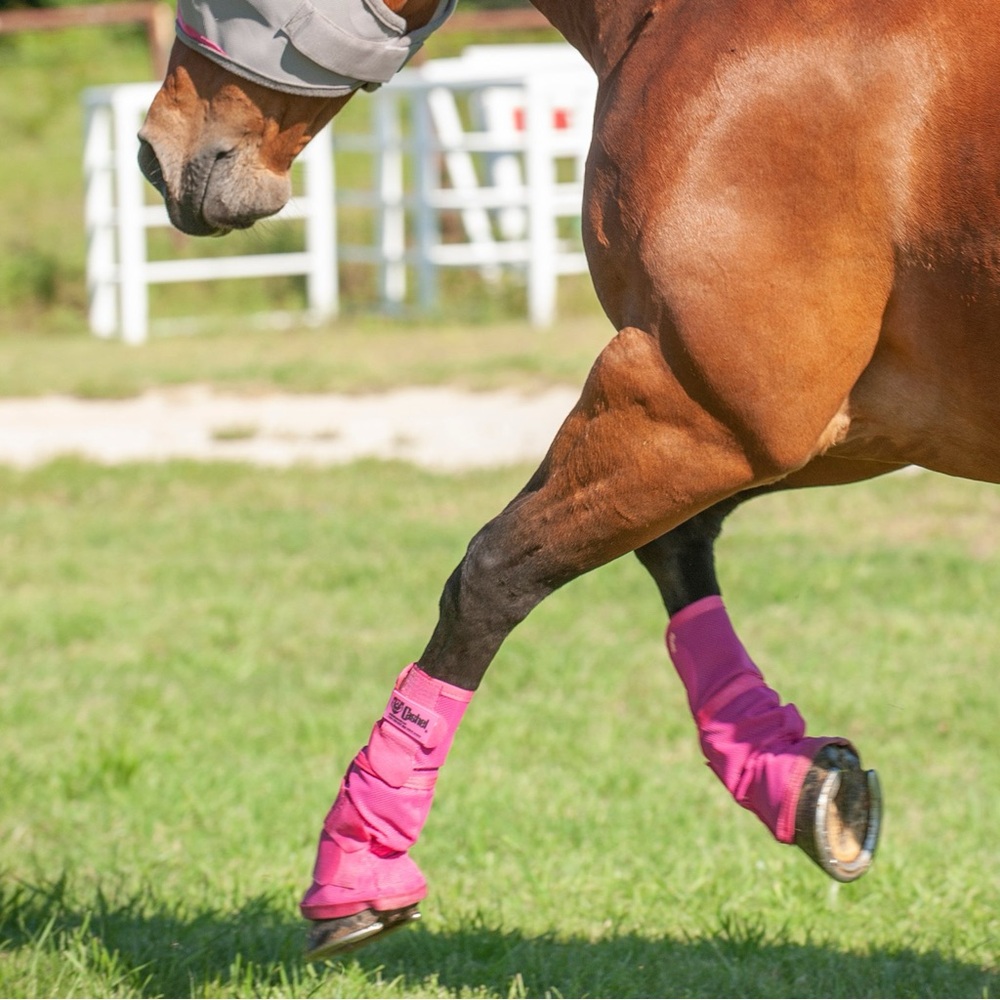Crusader Leg Guard - Pink Set of 2 - Picture 7 of 8